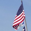 4th of July 2014 Special