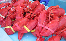 rockland restaurants lobster foods