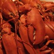 Maine Foodie Towns