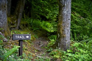 best Maine hiking trails