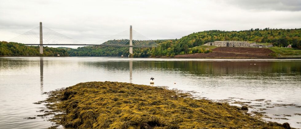 penobscot narrows bridge and fort knox