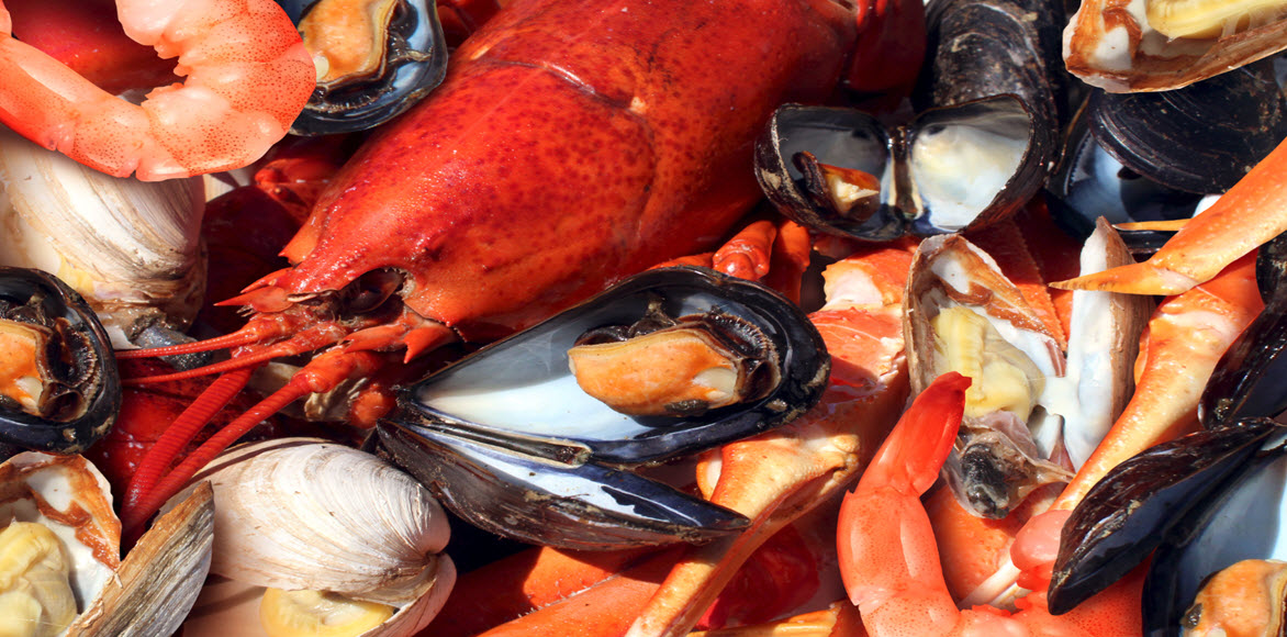 Rockland, Maine Lobster Festival Photos, Events & Info