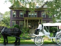 Elope on the Coast of Maine