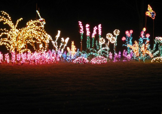 Gardens AGlow in maine