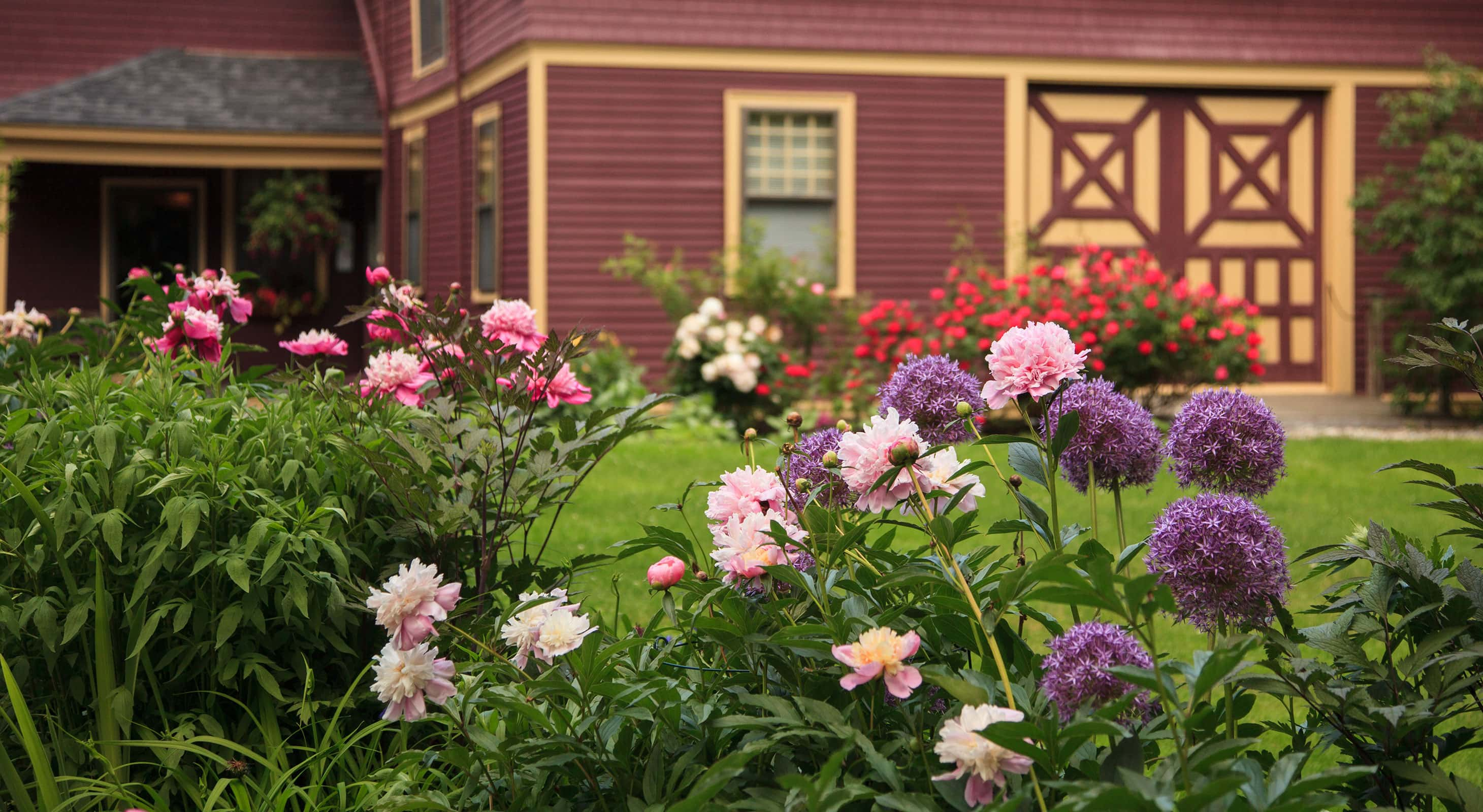 Flower bushes outside of the Berry Manor Inn