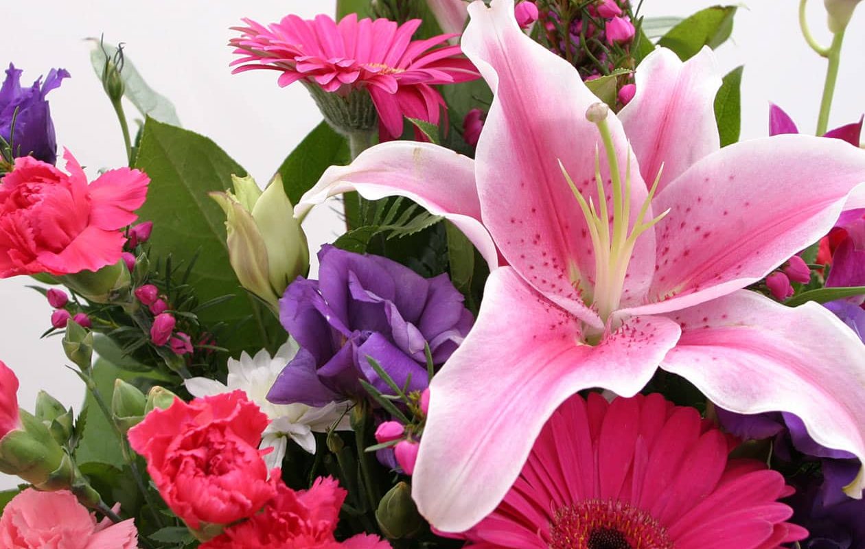 Bouquet of colorful pink flowers