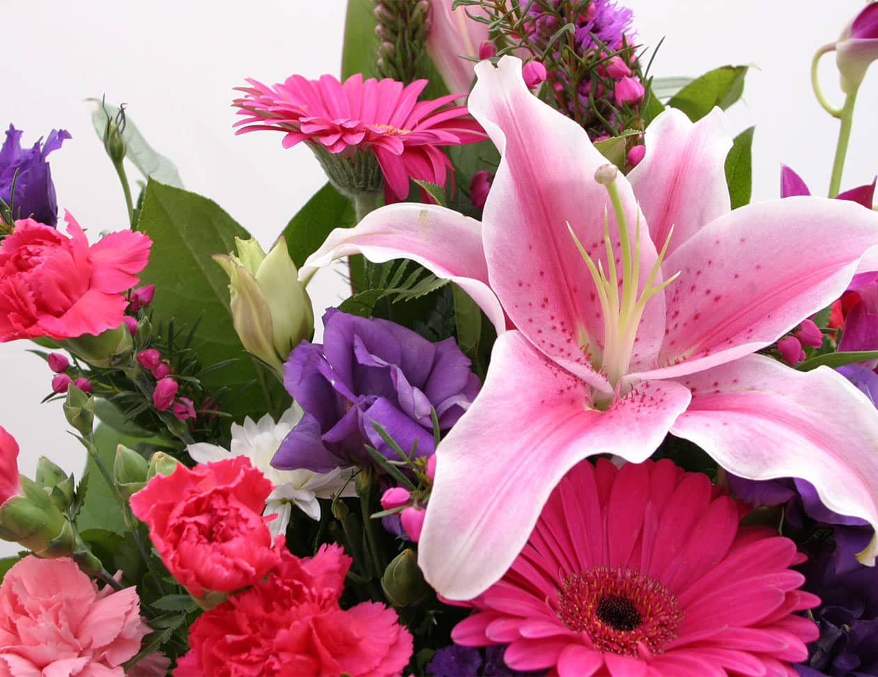 Bouquet of colorful pink flowers