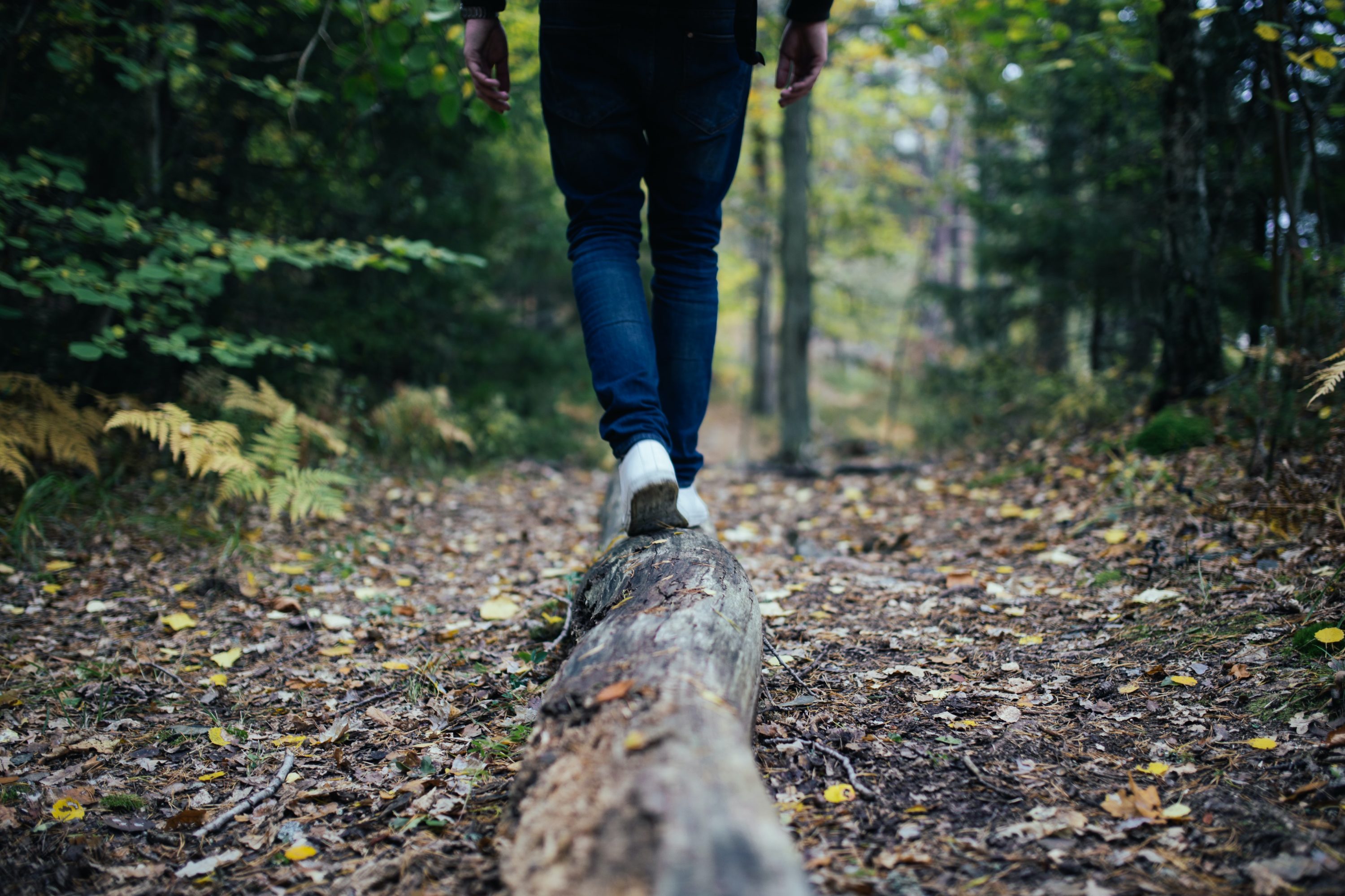 person in bluejeans and sneekers walking along a leaf strewn path in the woods.