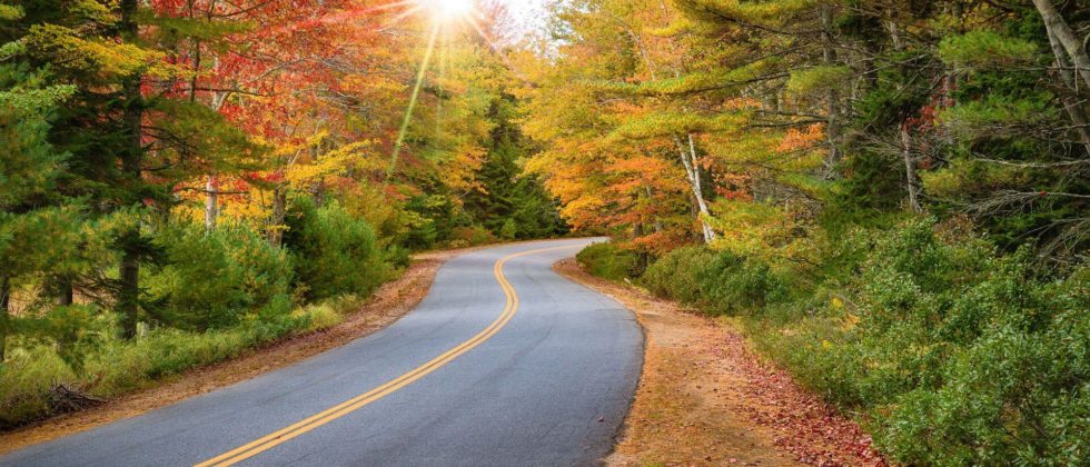A road winds through a forest with changing fall foliage