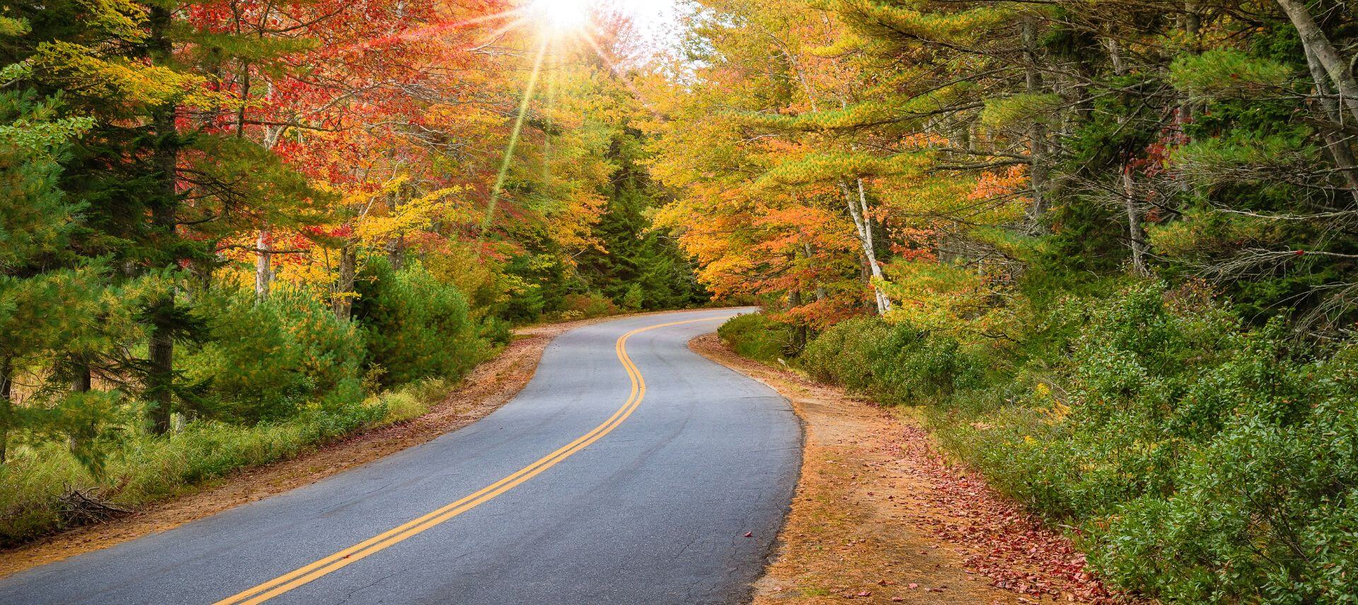 A road winds through a forest with changing fall foliage 