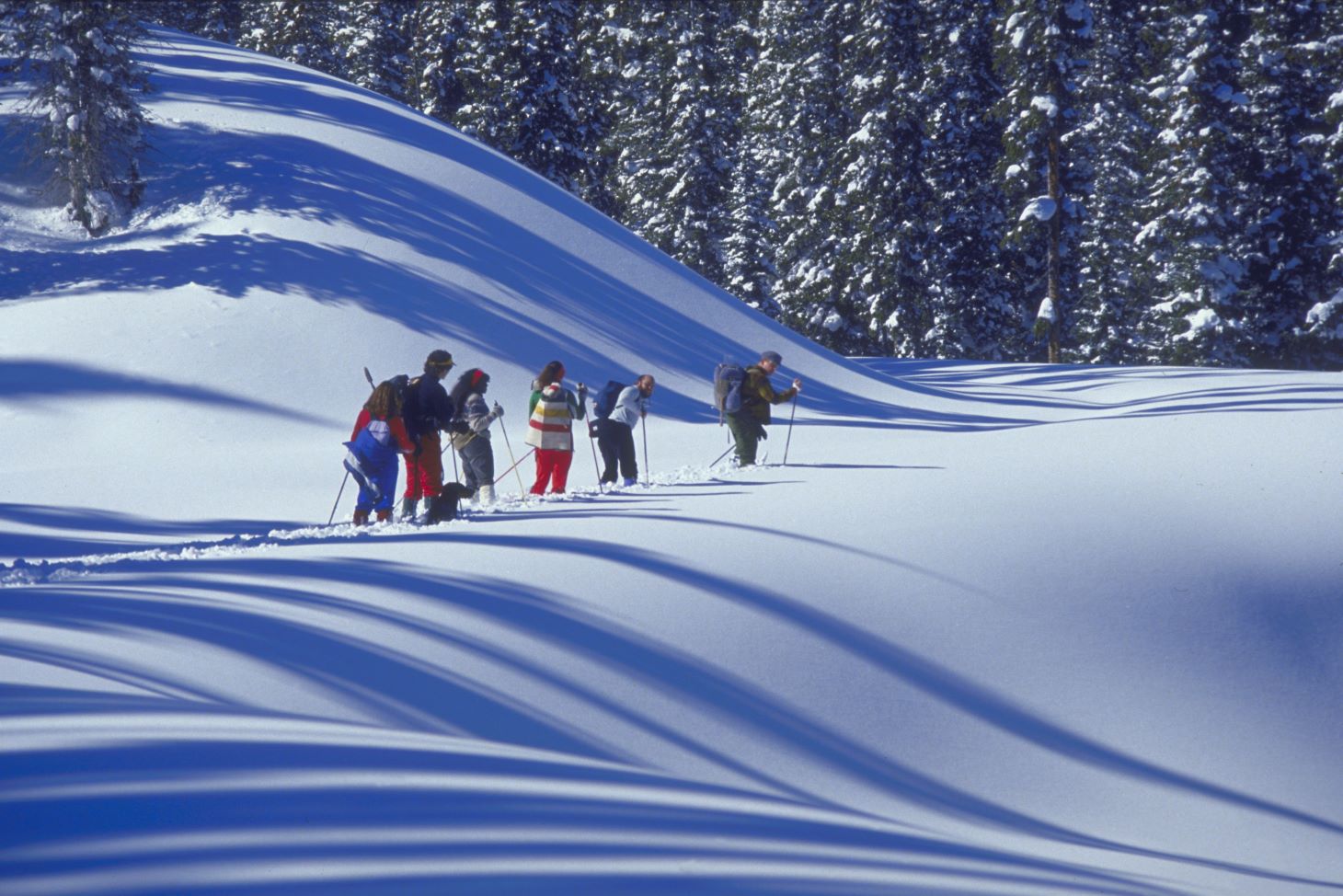 Group of friends cross country skiing over rolling snow-covered ground.