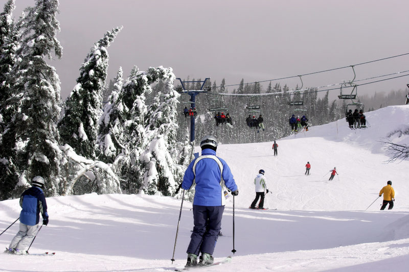 people cross country skiing