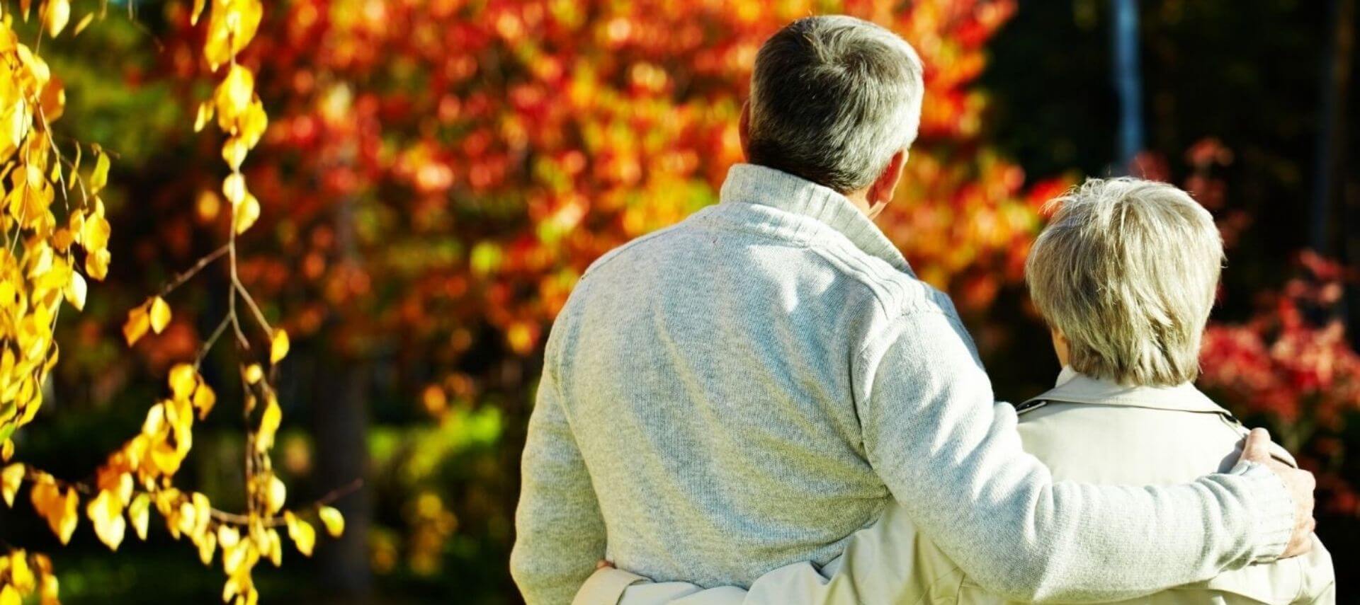 Back of couple arm in arm gazing at colorful trees