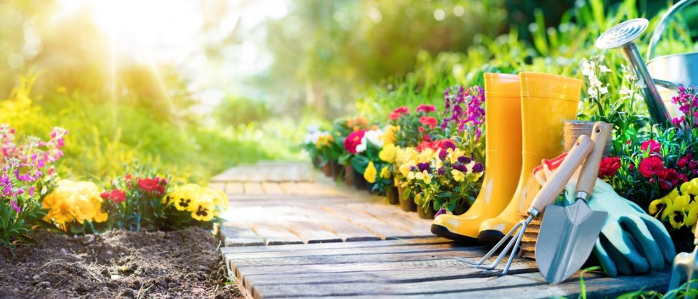 Wooden garden path through a floral garden with boots and garden tools in the forefront