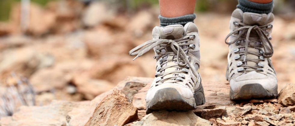 Close-up of hiking shoes of someone walking in the woods