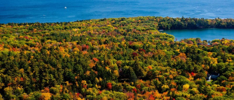 Aerial view of fall foliage in Camden, Maine