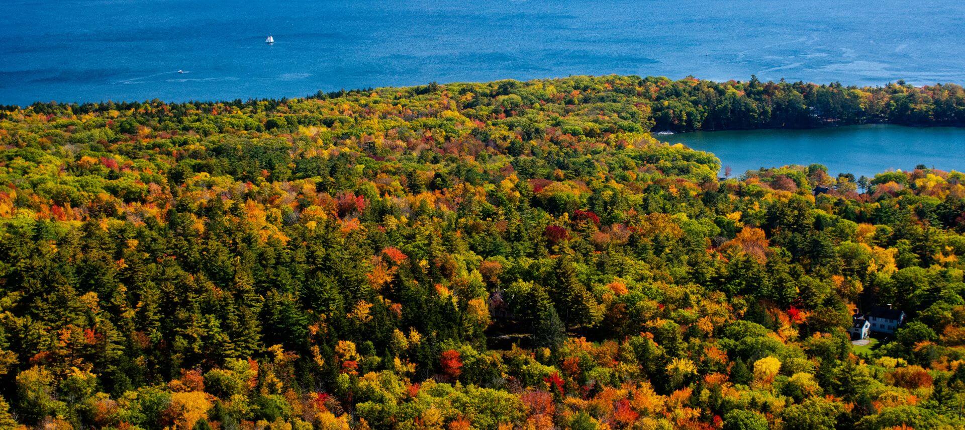 Aerial view of fall foliage in Camden, Maine