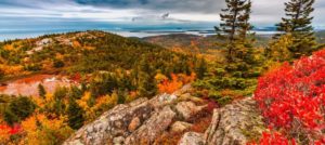 Fall foliage on Cadillac Mountain