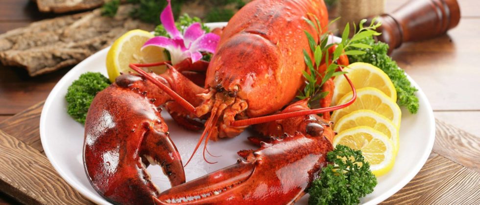 A big lobster sits on a plate with lemon slices