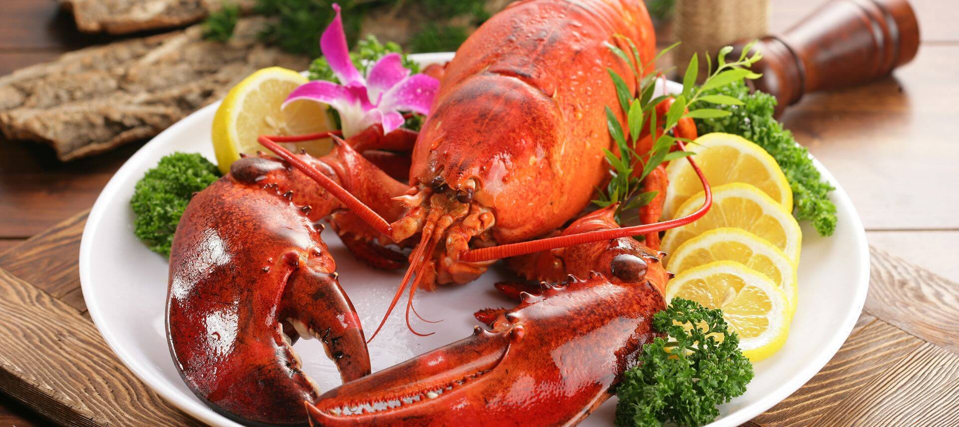 A big lobster sits on a plate with lemon slices